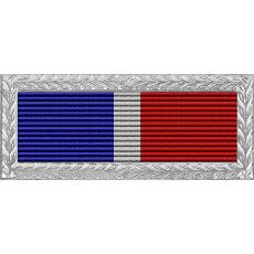 North Carolina National Guard Meritorious Unit Citation with Silver Frame